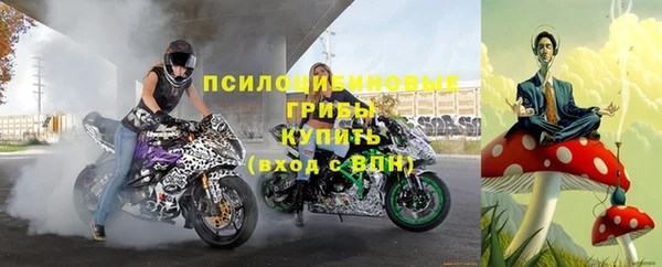 ГАЛЛЮЦИНОГЕННЫЕ ГРИБЫ Киренск