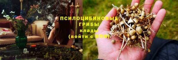 прущий лед Киреевск
