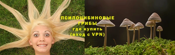прущий лед Киреевск